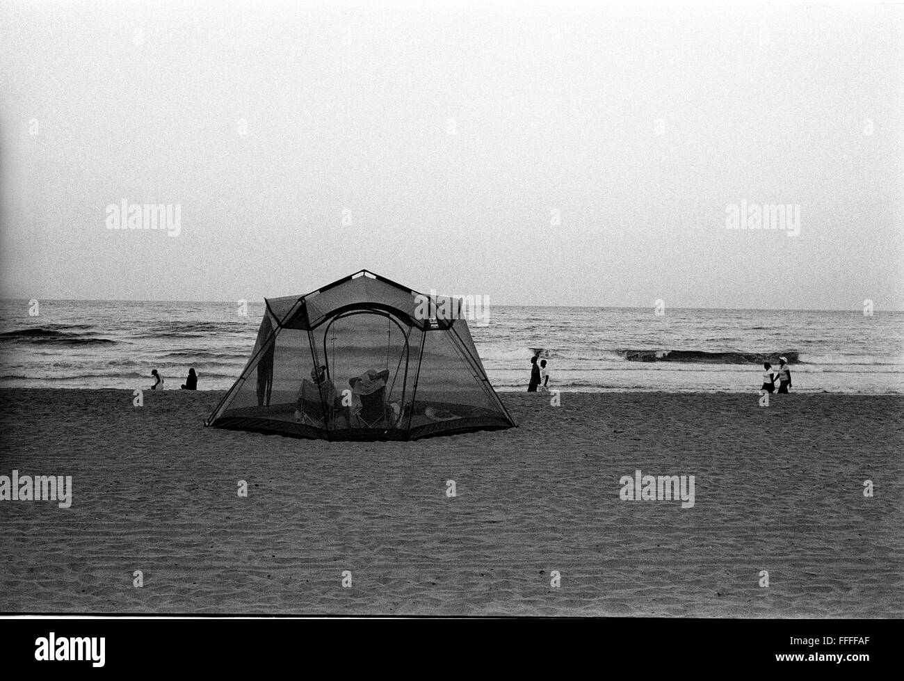 4. Januar 2016 - South Beach, KwaZulu-Natal, Südafrika - Katzen ist ein Surf-Bademeister, wenn er geht an den Strand nach Stunden sitzt er in einem Zelt, weil er seinen eigenen persönlichen Raum mag. South Beach ist ein Teil der Stadt Durban am längsten ununterbrochenen Strecke von Strandsand. Die Stadt Durban ist an der Ostküste Südafrikas und die Menschen hier sind mit den warmen Gewässern des Indischen Ozeans gewaschen. Im Norden dieser Strecke von Sand sind Strände mit Café-Gesellschaft hängen Outs. Im Süden befindet sich eine Anlegestelle mit der gehobenen Moyo Restaurant am Ende und die uShaka Marine World ein Stockfoto
