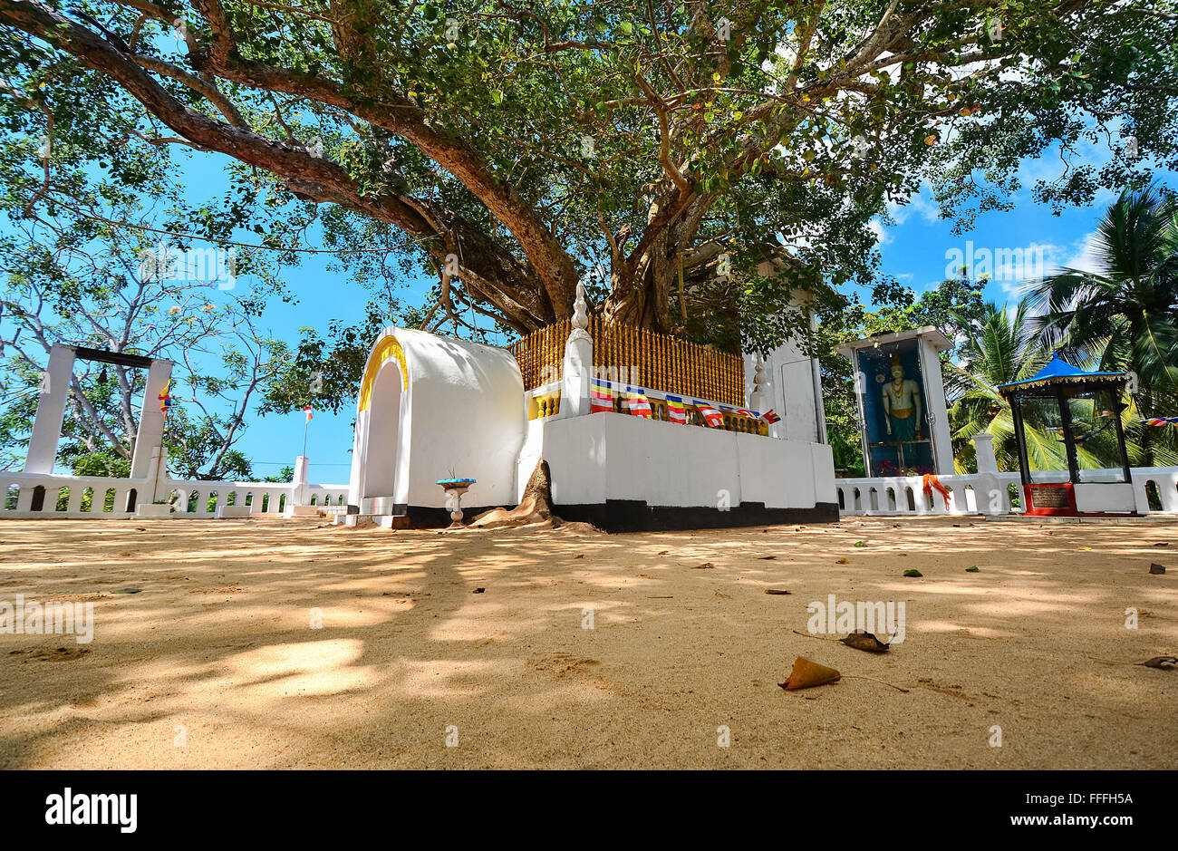 Alte buddhistische Tempel und der Stupa In Sri Lanka Stockfoto