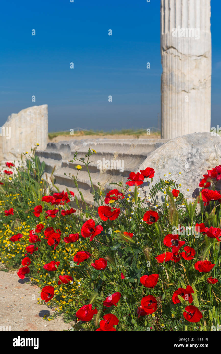 Ruinen der Antike Laodicea auf dem Lycus, Provinz Denizli, Türkei Stockfoto
