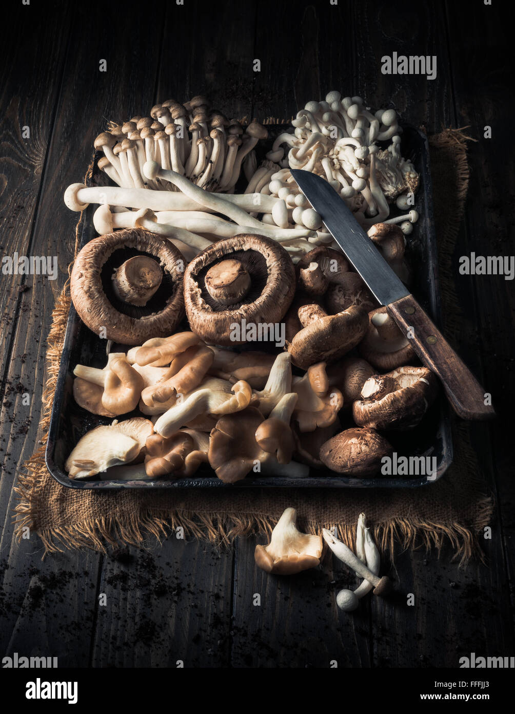 Gemischte Pilze im Tray auf Holztisch Stockfoto