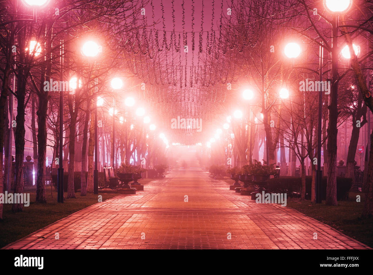 Schönen Park Avenue-Straße in Stadt bei Nacht im Morgennebel. Stockfoto