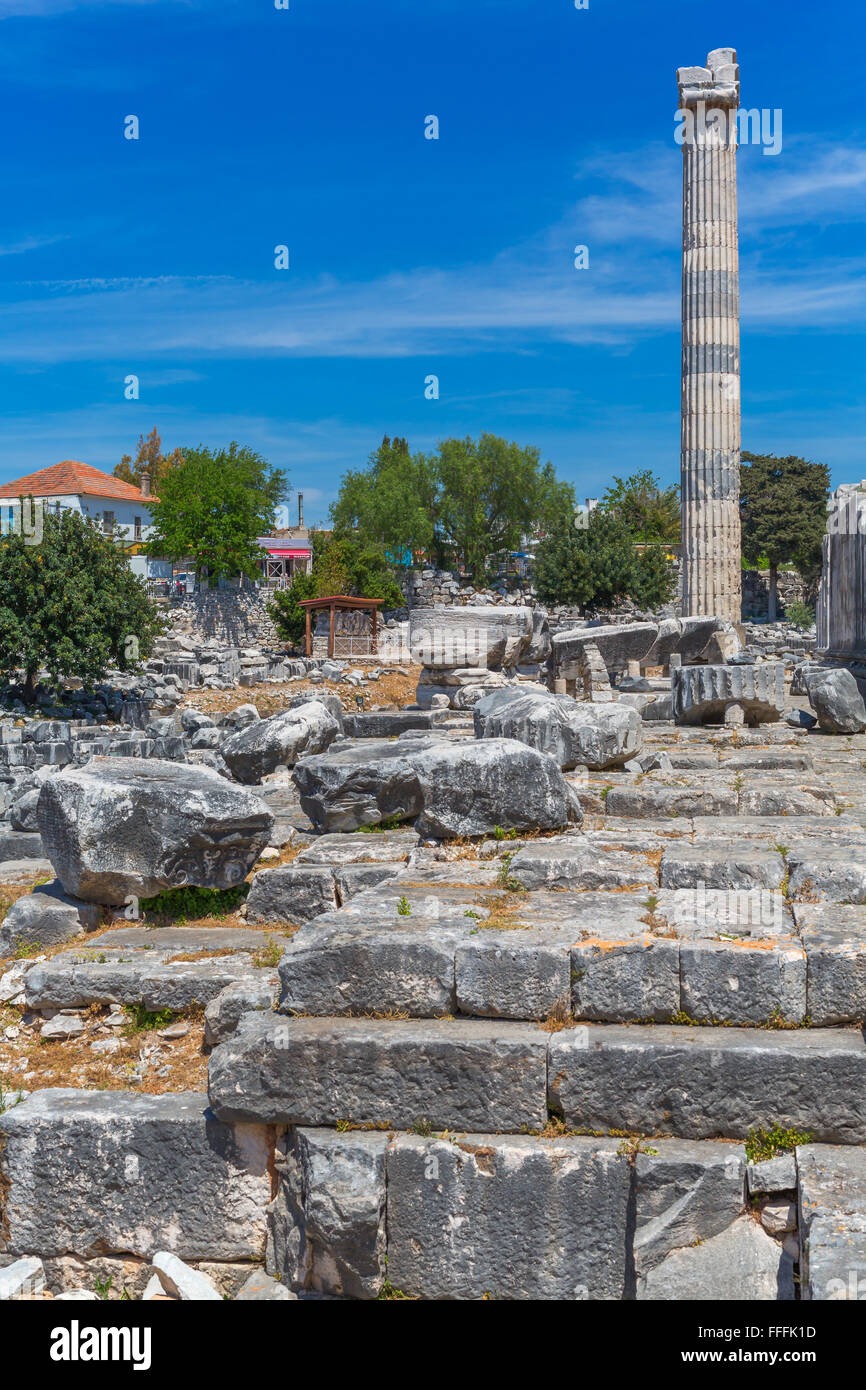 Ruinen der alten Tempel des Apollo, Didyma, Provinz Aydin, Türkei Stockfoto