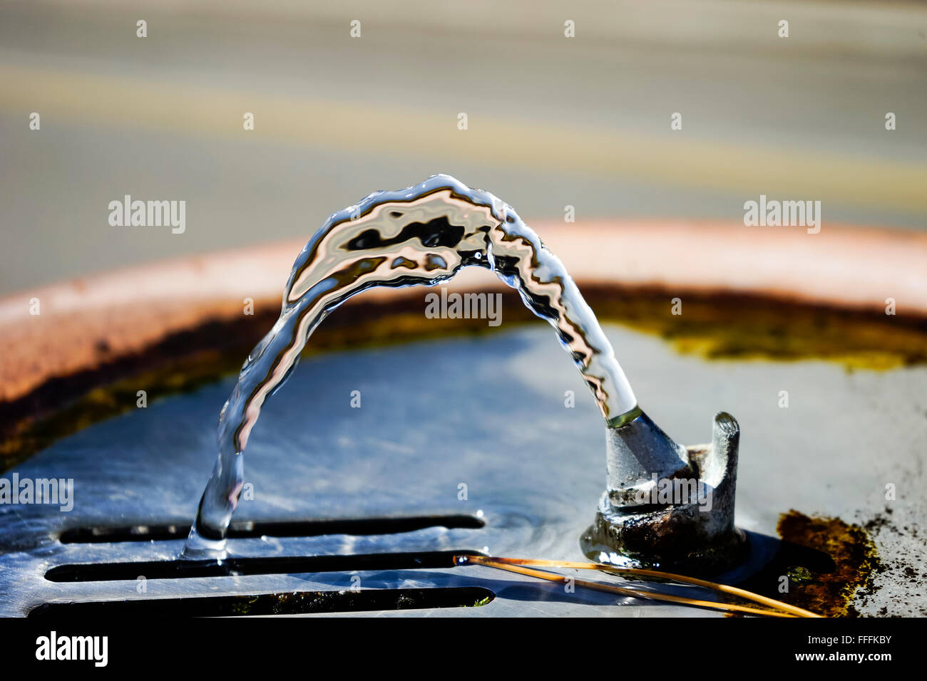 Trinkwasser-Brunnen Stockfoto