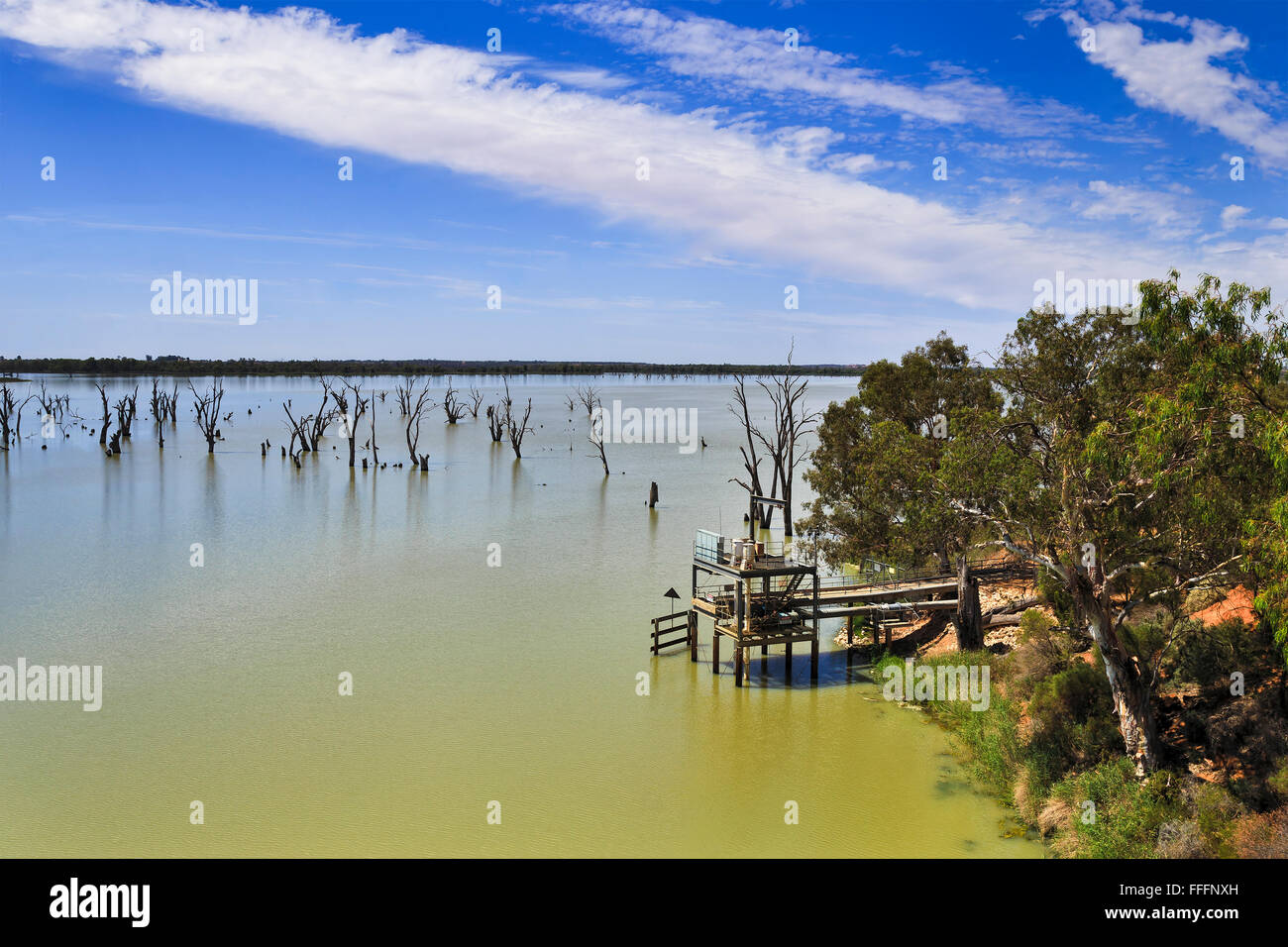 Grünen ruhiges Wasser des Murray River in South AUstralia mit hölzernen Fracht Badesteg und toten Baum am Fluss. Stockfoto