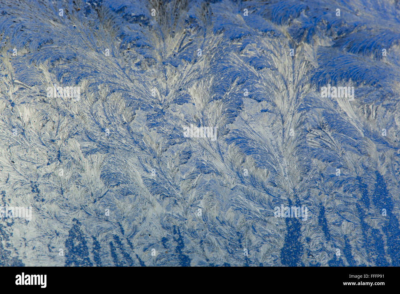 Eisblumen am Fenster; Winter; UK Stockfoto