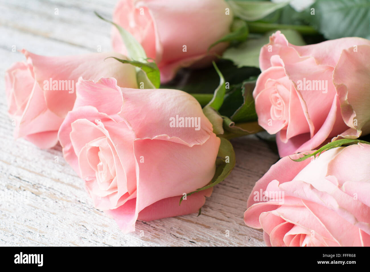 Vintage-Hintergrund / Postkarte / Grusskarte. Rosa Rosen auf weißem strukturierten hölzernen Hintergrund. Nahaufnahme Stockfoto