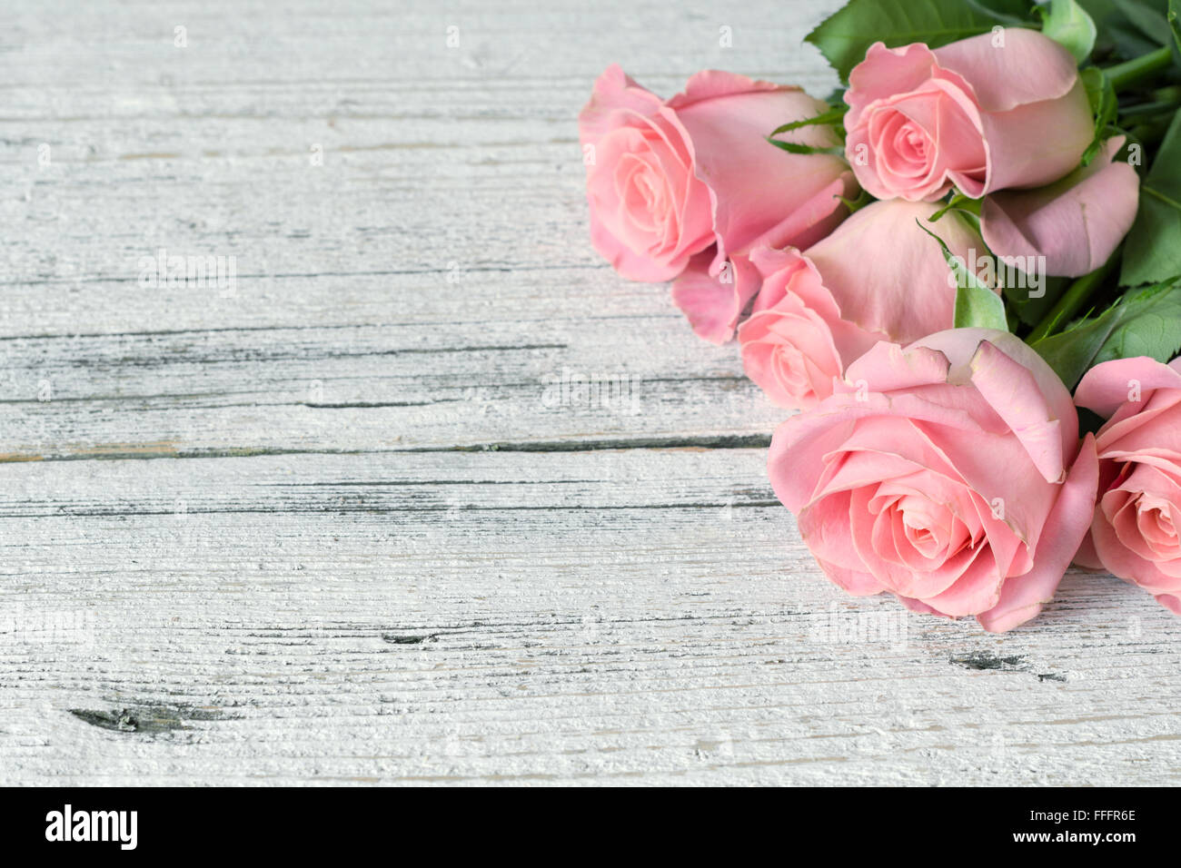 Vintage-Hintergrund / Postkarte / Grusskarte. Rosa Rosen auf weißem