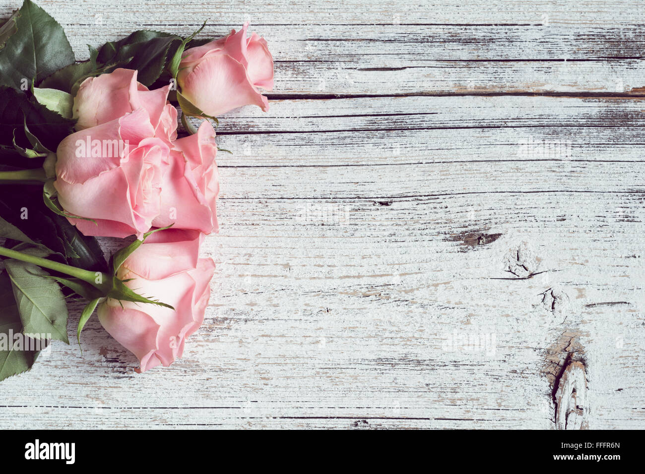 Vintage-Hintergrund / Postkarte / Grusskarte. Rosa Rosen auf weißem strukturierten hölzernen Hintergrund. Textfreiraum, Ansicht von oben Stockfoto