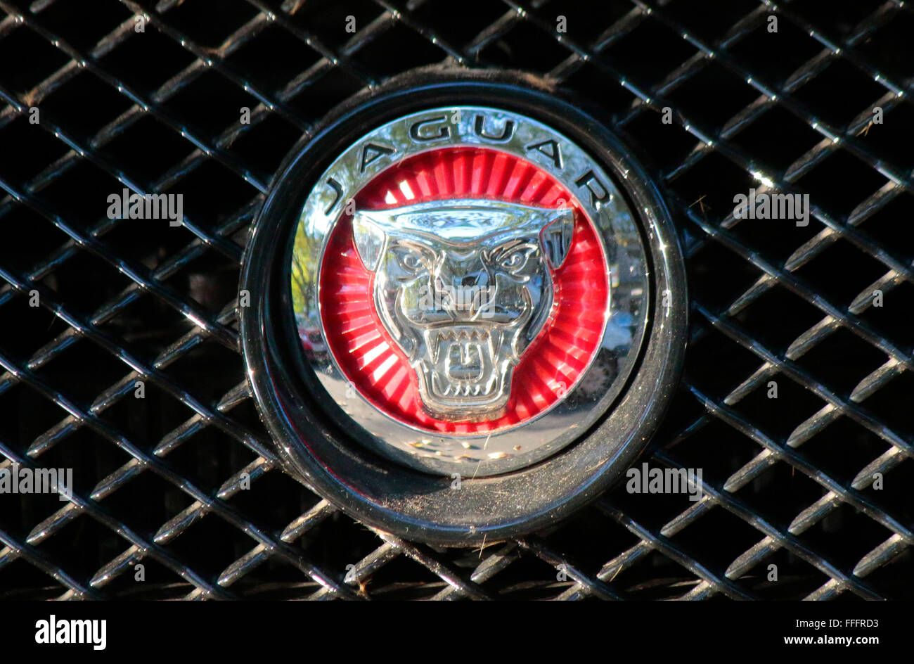 Markennamen: "Jaguar", Berlin. Stockfoto