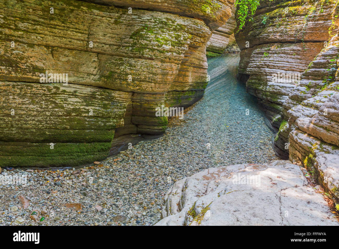 Fluss im Gebirge Schlucht, Tsandriptsh, Abchasien (Georgien) Stockfoto