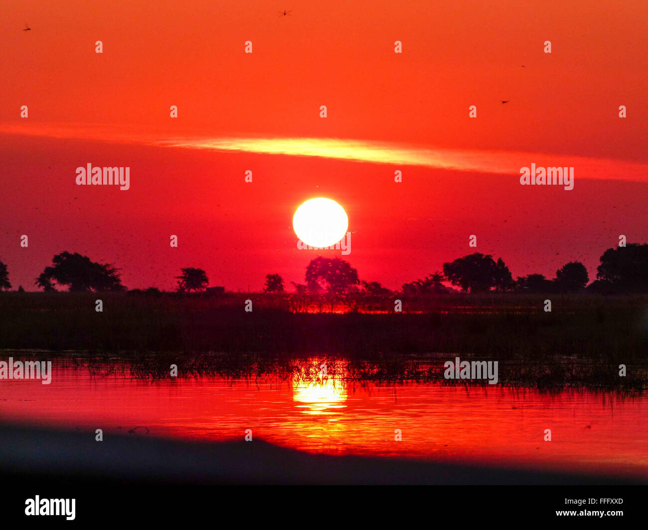 Safari in Afrika Sonnenuntergang über den Chobe Fluss Stockfoto