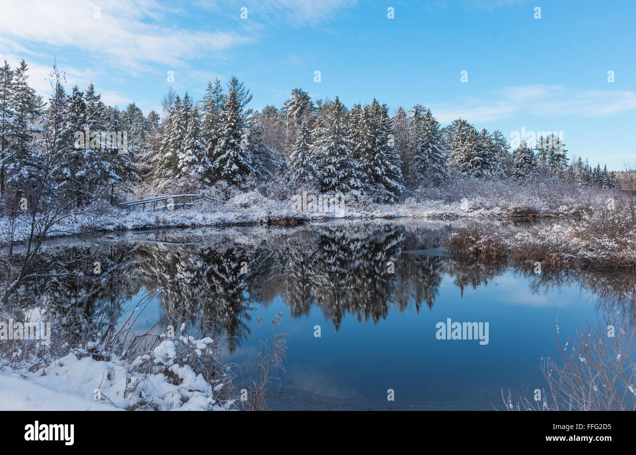 Eine Fußgängerbrücke entlang eines Lehrpfades mitten im Wald am blauen Himmel am Morgen. Frisch gefallener Schnee. Stockfoto