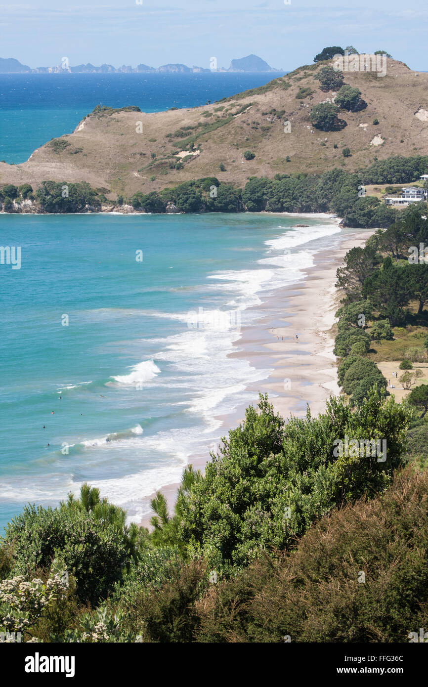 Hahei Strand, gesehen von der Grange Road, nach Süden, Coromandel Peninsula, North Island, neue Zealand,N.Z.,Australasia,Oceania, Stockfoto