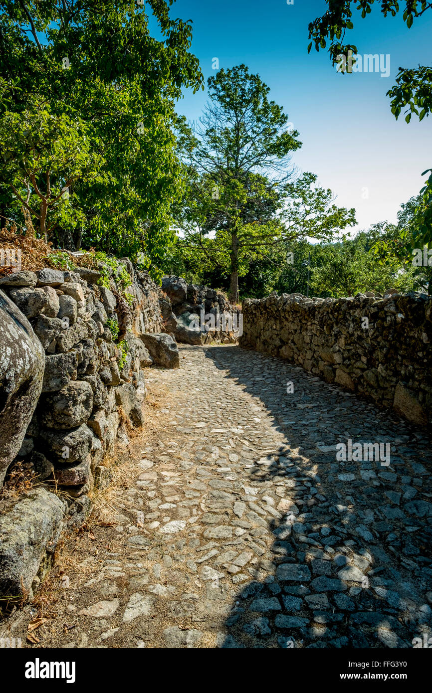 Gepflasterten Seitenstraße in der mittelalterlichen Stadt La Alberca, Castille y Leon. Spanien Stockfoto