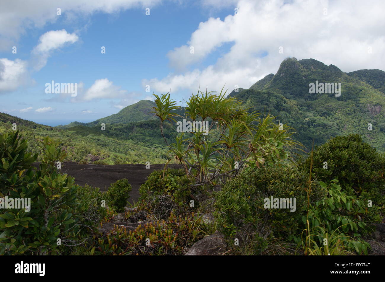 Morne Seychellois Nationalpark, Berg Copolia Stockfoto