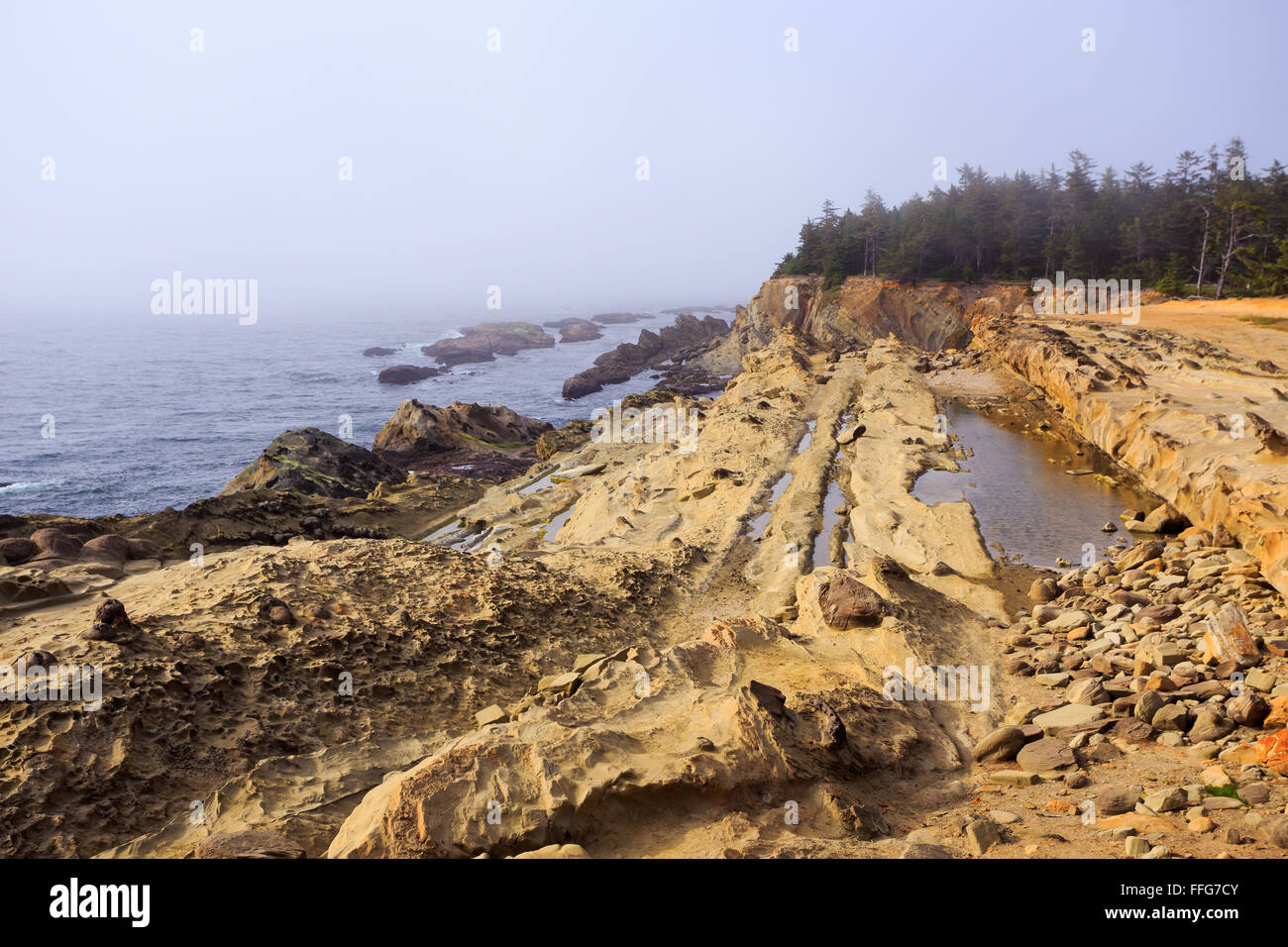 Felsen entlang der Küste von Oregon im Shore Acres State Park. Stockfoto