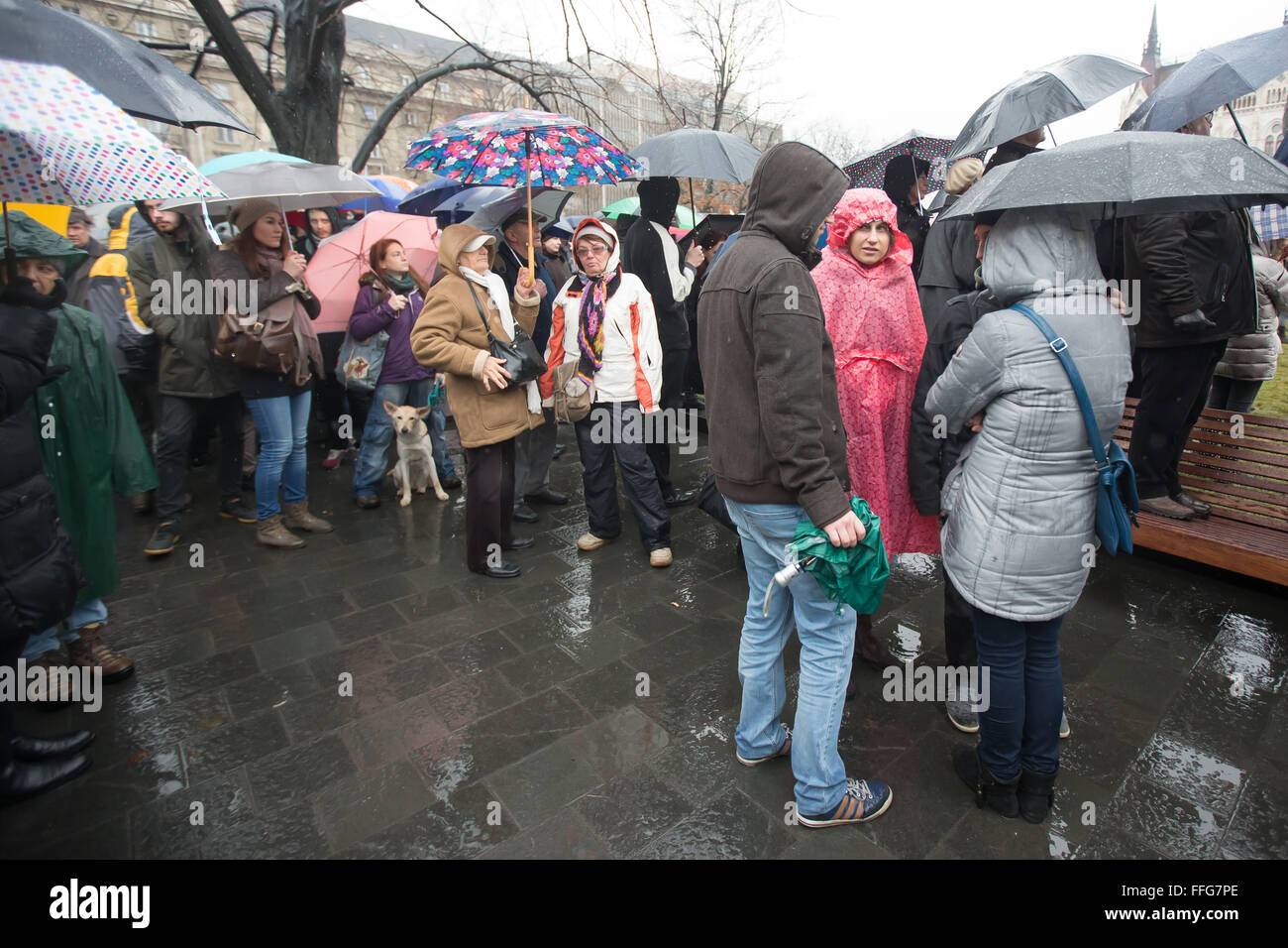 Budapest, Ungarn. 13. Februar 2016. Lehrer und Förderer Rallye für Veränderungen im Bildungssystem vor dem Parlament in Budapest, Ungarn, 13. Februar 2016. Bildnachweis: Attila Volgyi/Xinhua/Alamy Live-Nachrichten Stockfoto