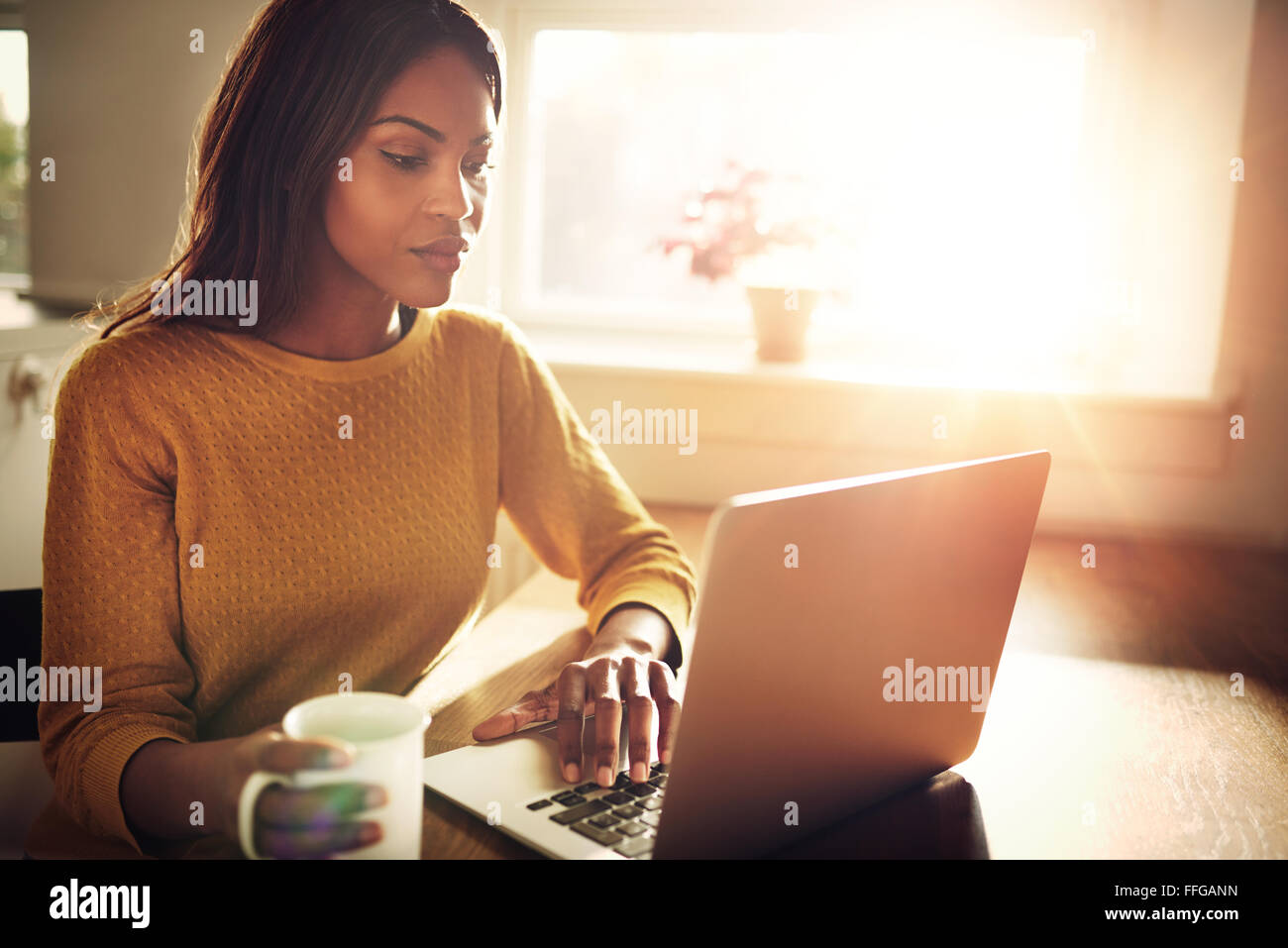 Ernst Schwarz Erwachsenen einzigen weiblichen sitzen am Tisch halten Kaffee Tasse und tippen auf Laptop mit Licht flare kommen durch windo Stockfoto