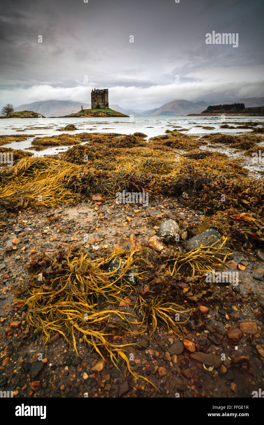 Castle Stalker in Argyll and Bute, Scotland Stockfoto