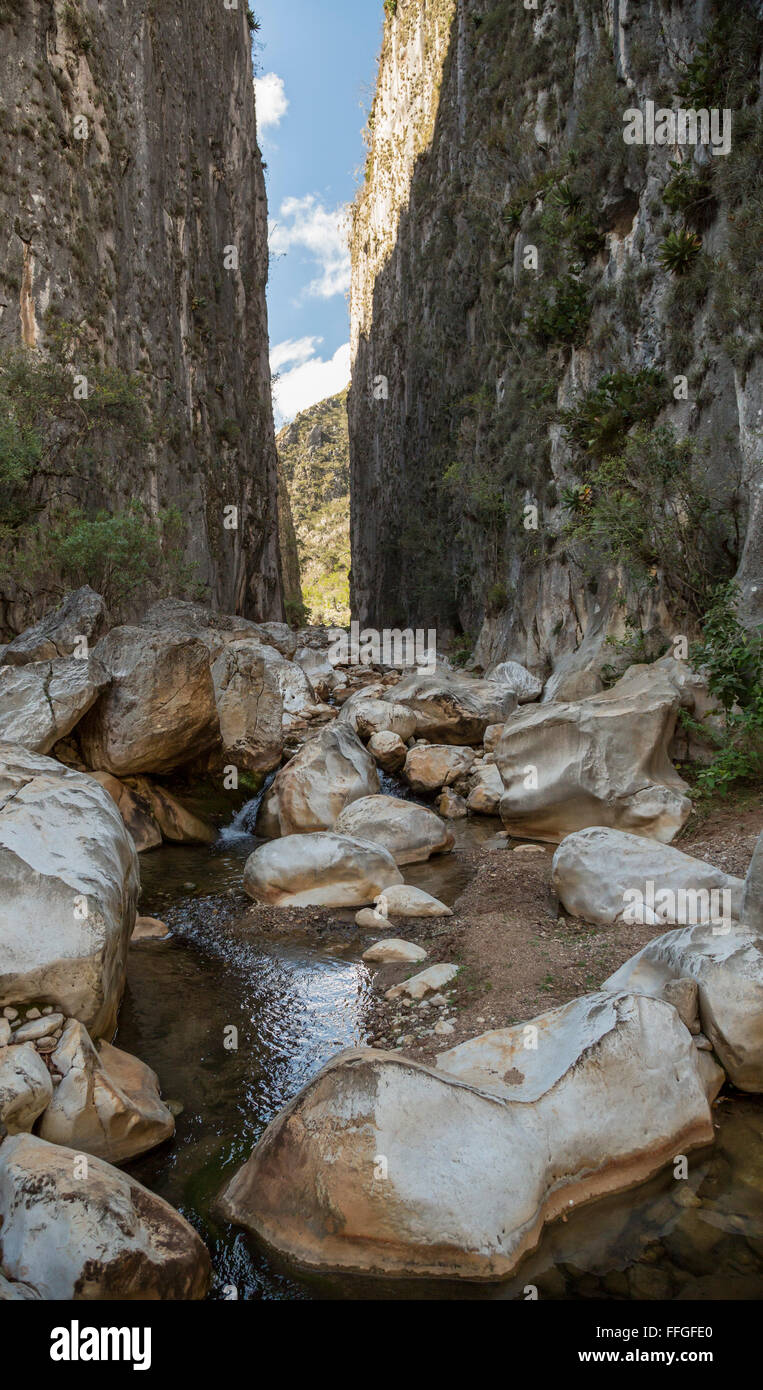 Santiago Apoala, Oaxaca, Mexiko - läuft ein Bach durch einen Canyon in der Nähe von Dorf Apoala, ein kleines Bergdorf. Stockfoto