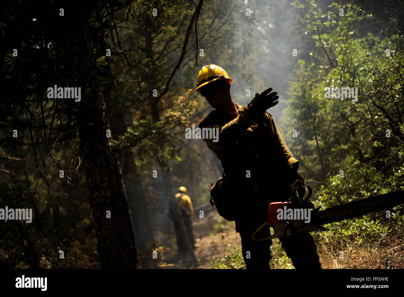 Brad Mabery bereitet, ein Baum mit einer Motorsäge beim Löschen einer Feuer-Linie im Bereich Mount St. Francis von Colorado Springs, Colorado Stockfoto