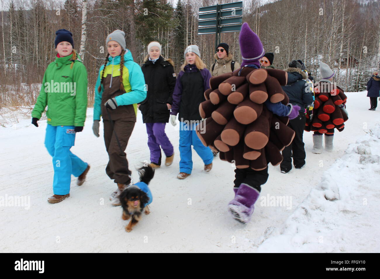 Stücken, Norwegen. 14. Februar 2016. Teilnehmer und Publikum bei der Tretschlitten World Championship in Stücken mit norwegischen Trachten. Silje Ekern/Alamy Live-Nachrichten Stockfoto