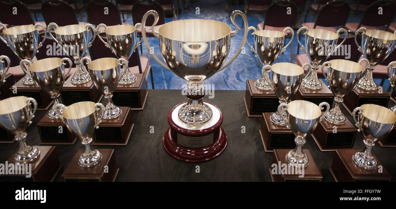 Top-Konkurrenten erhalten Pokale für ihre Leistungen während der US-Armee Combatives Championship 2012. Stockfoto