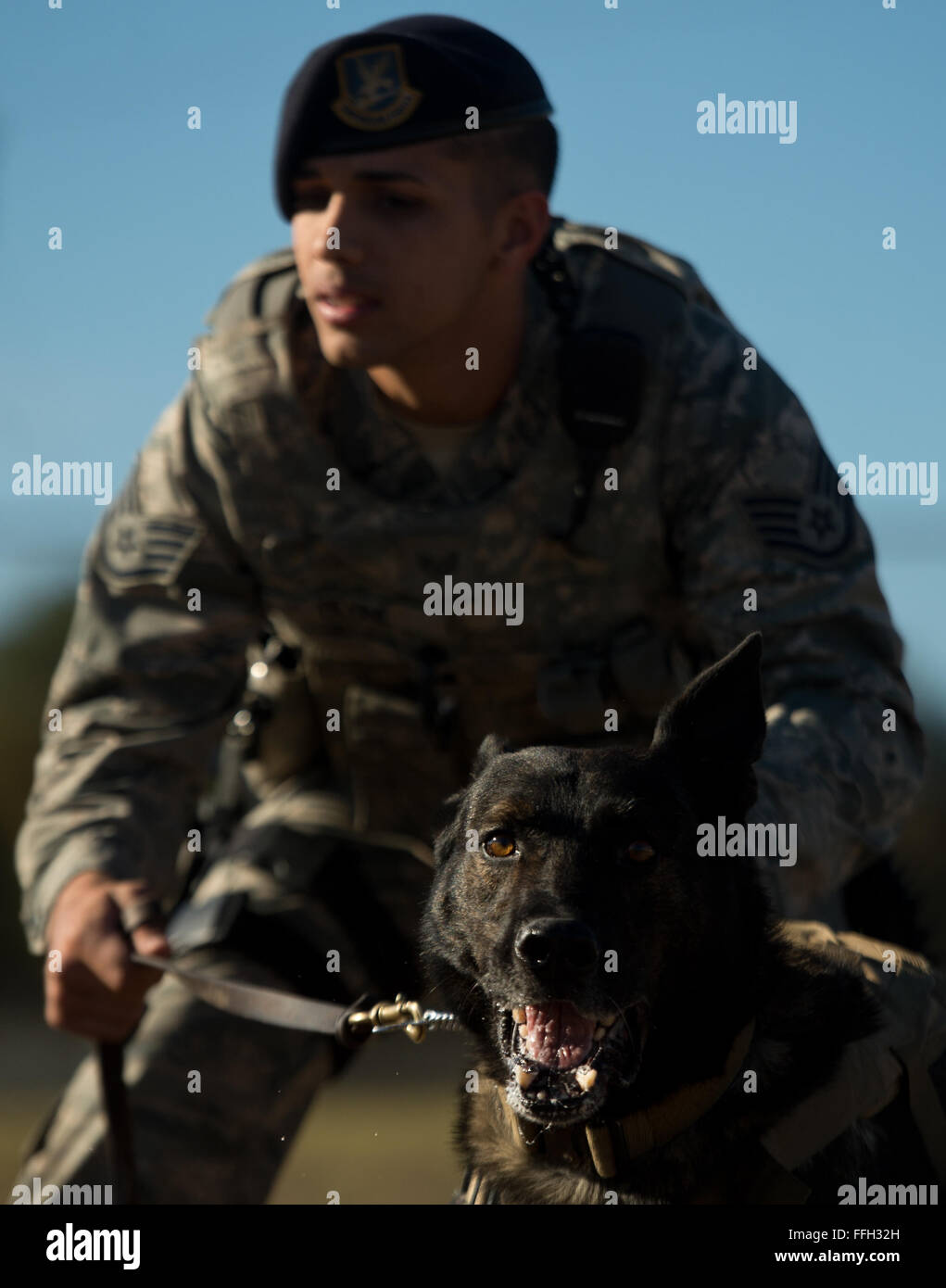 Staff Sgt Mark Devine, ein militärischer Arbeitshund Handler von 802 Sicherheit Kräfte Squadron, hält JJany während einer Morgen Übung Trainingseinheit auf der gemeinsamen Basis San Antonio-Lackland. Devine und militärischer Arbeitshund Handler zugewiesen JBSA Lackland erfüllen täglich Rechtsdurchsetzung oder Zug nach Mission bereit zu bleiben. Stockfoto