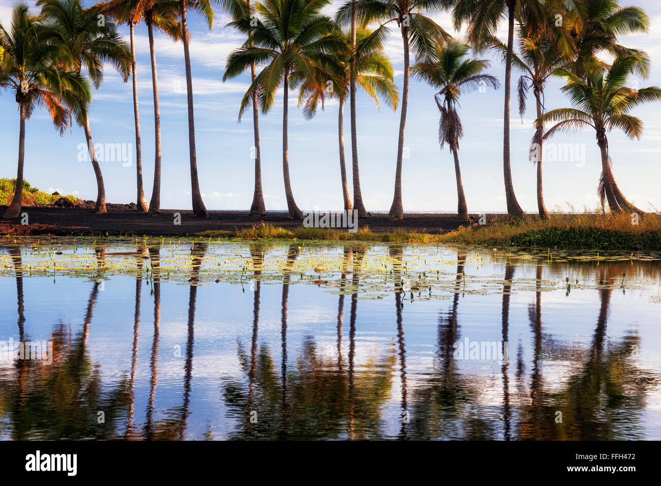 Teich-Reflexion an Punalu'u Black Sand Beach auf der Big Island von Hawaii. Stockfoto