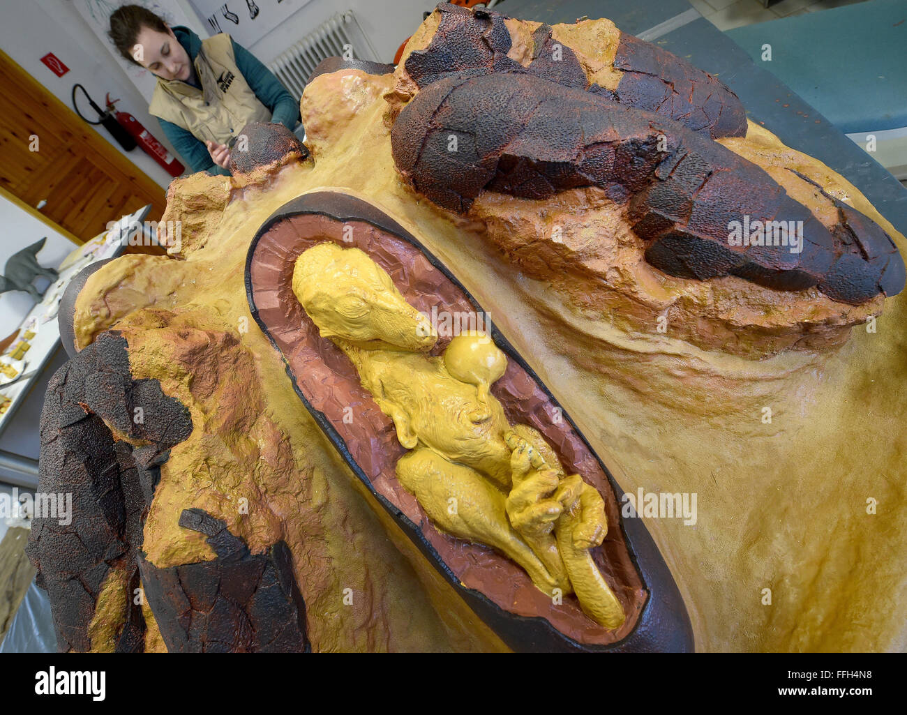 Muenchehagen, Deutschland. 11. Februar 2016. Die Replikation eines Embryos von Oviraptor Dinosaurier wird für die Dinosaurier-Ausstellung im Dinopark in Muenchehagen, Deutschland, 11. Februar 2016 vorgestellt. Die Ausstellung zeigt Einblicke in das Familienleben der Dinosaurier, darunter seltene Dinosaurier Baby Fossilien und ihren Platz finden. Foto: HOLGER HOLLEMANN/Dpa/Alamy Live News Stockfoto
