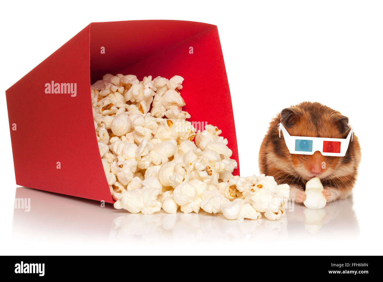Hamster in 3d Brille kauen Popcorn neben den roten Eimer auf dem weißen Hintergrund isoliert. Stockfoto