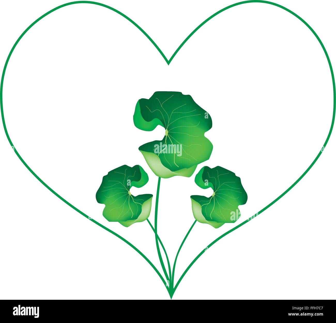 Liebe Konzept, Illustration von Herzen Formrahmen in frischen asiatischen Abel Pflanzen, Isolated on White Background. Stock Vektor