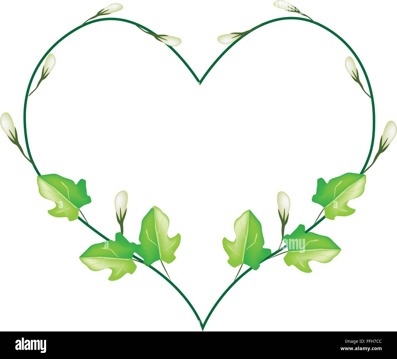 Herzform Weinblatt Stock Vektorgrafiken Kaufen Alamy