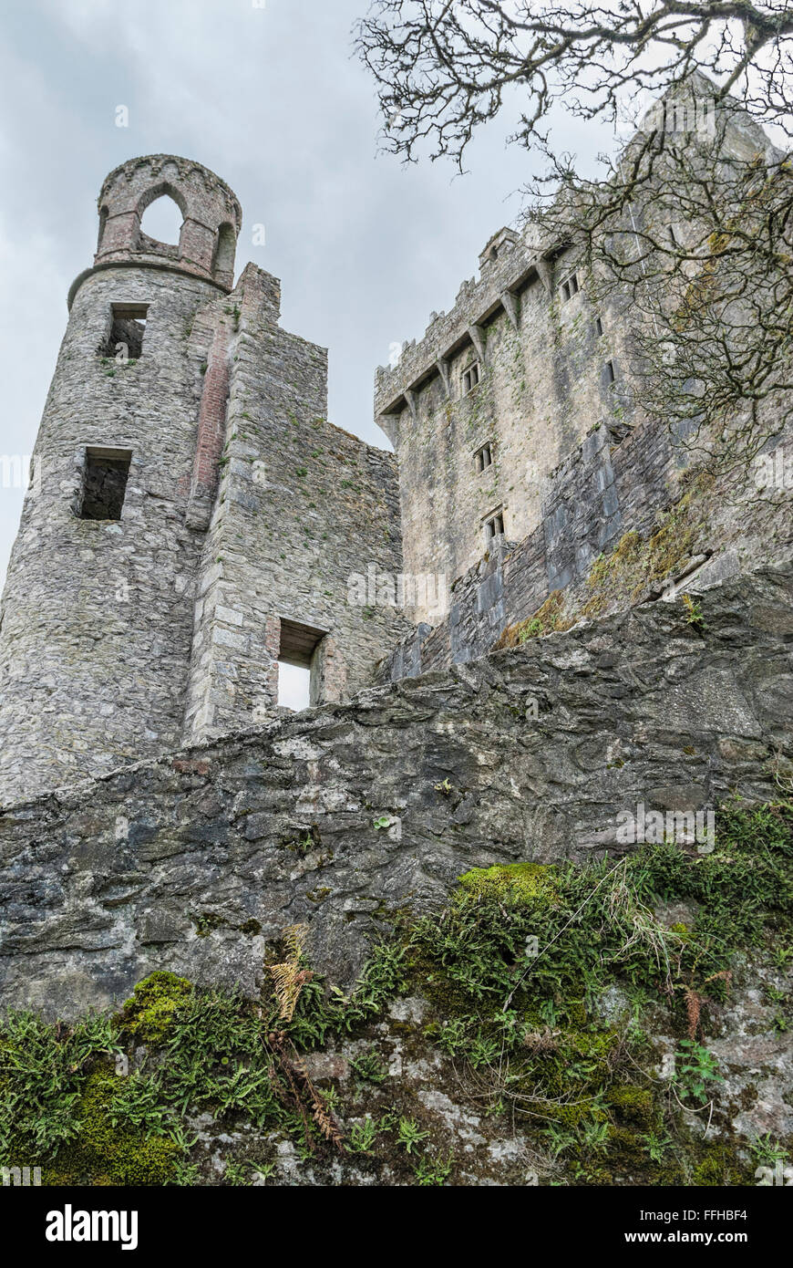 Blarney Castle Heimat des legendären Steins Blarney, Cork, Irland Stockfoto