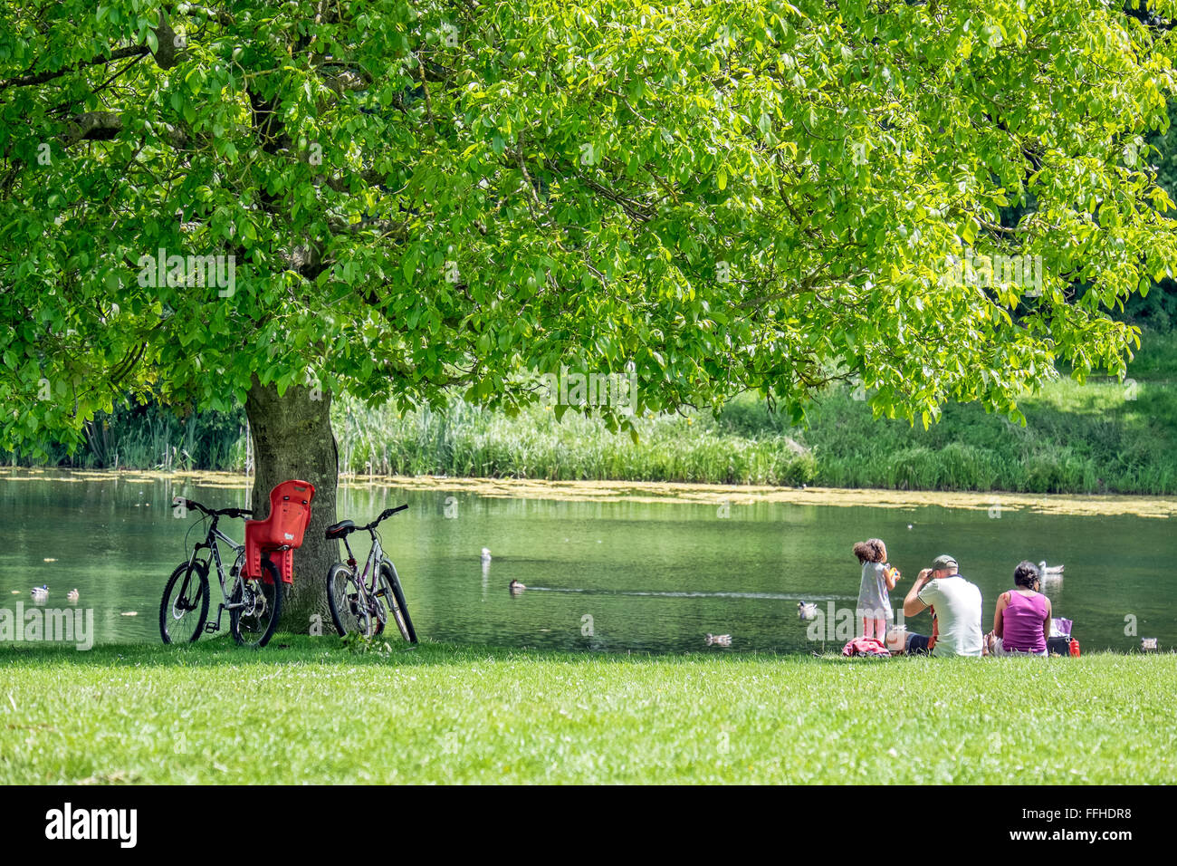 Eine Familie entspannen im Schatten eines Baumes, an einem See mit dem Fahrrad ruhte gegen den Baumstamm Stockfoto