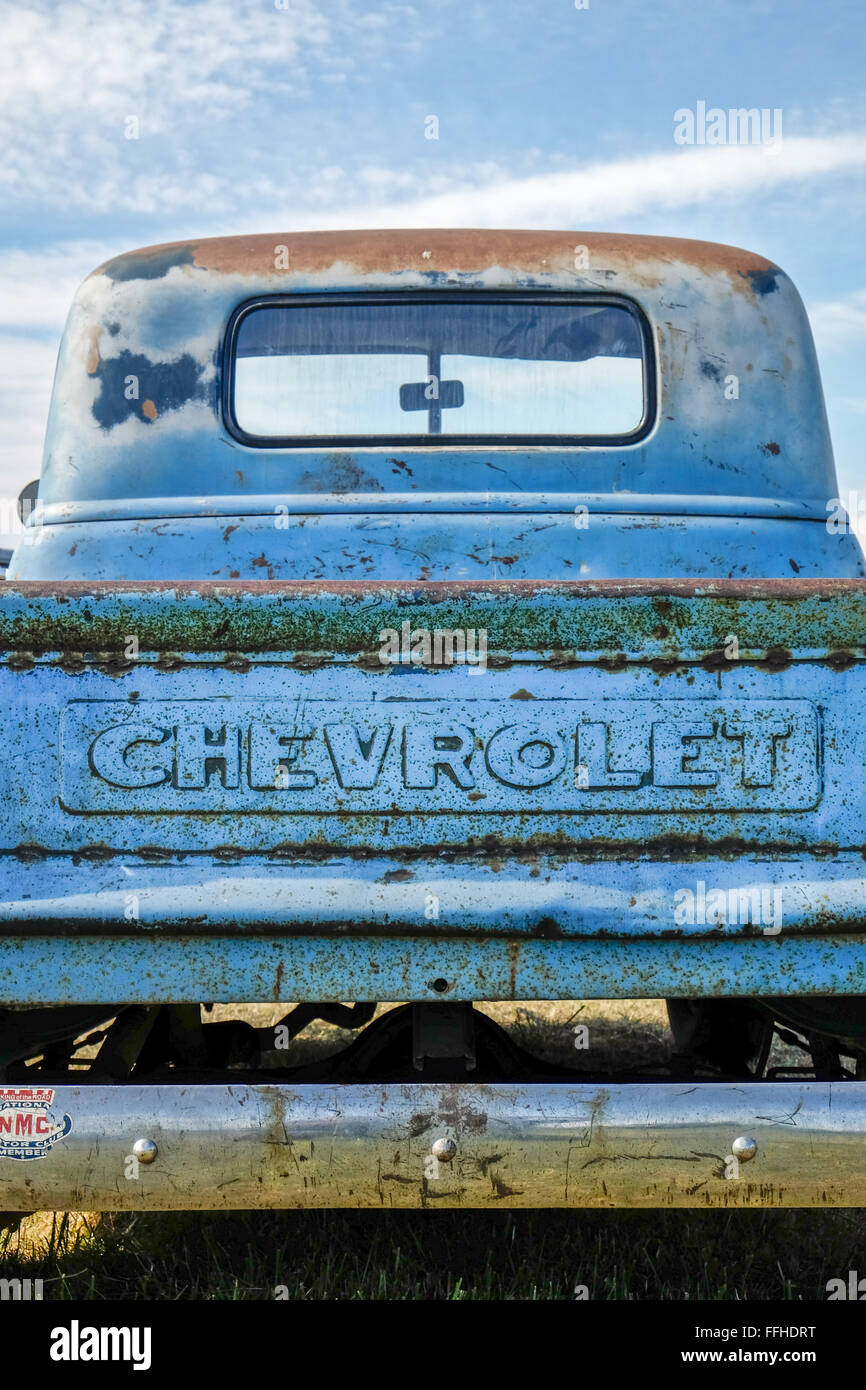 Der Rückseite des einen rostigen blauen Chevrolet Pickup Stockfoto