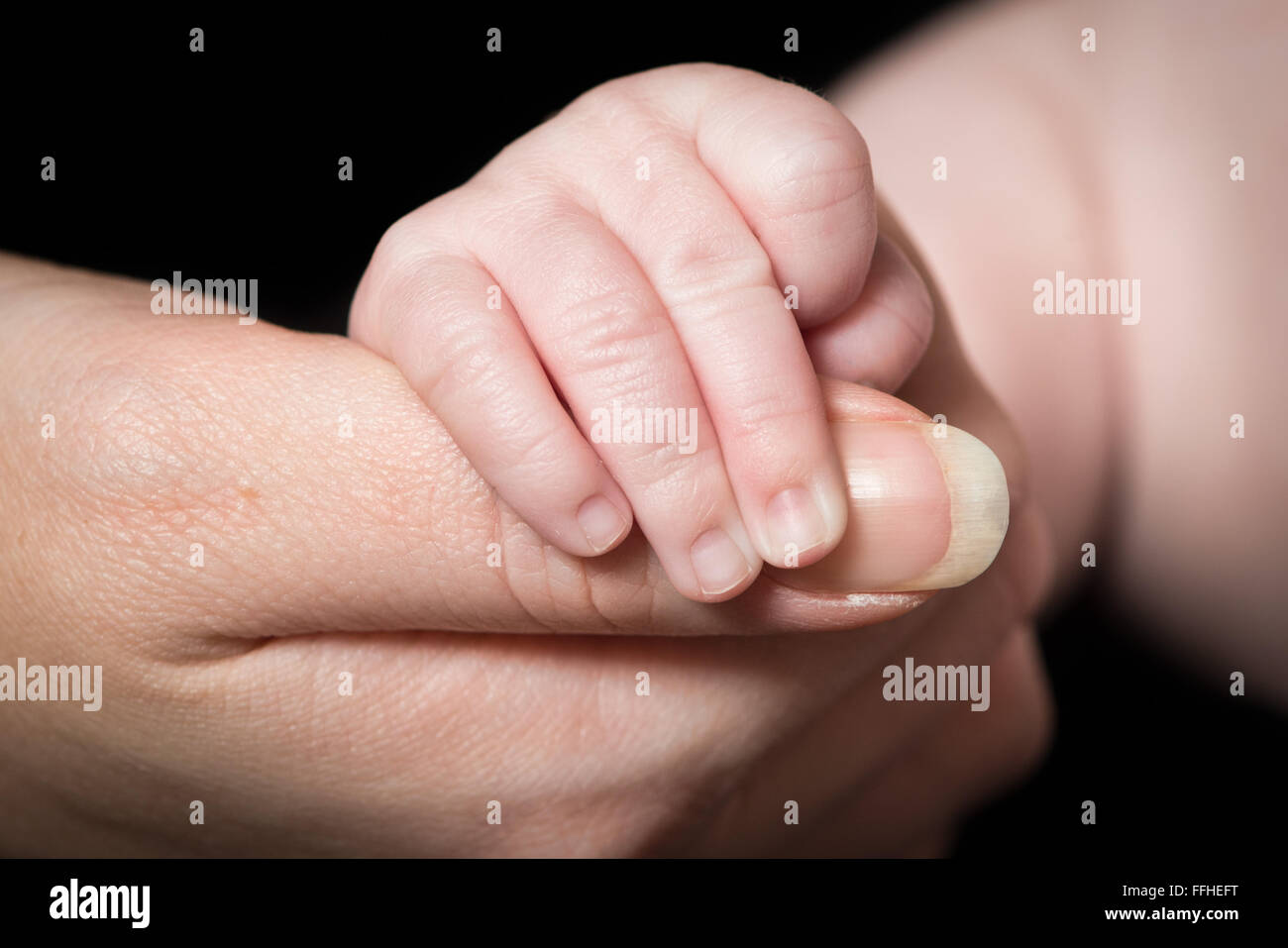 Ein kleines Baby greift die Daumen eines Erwachsenen Stockfoto
