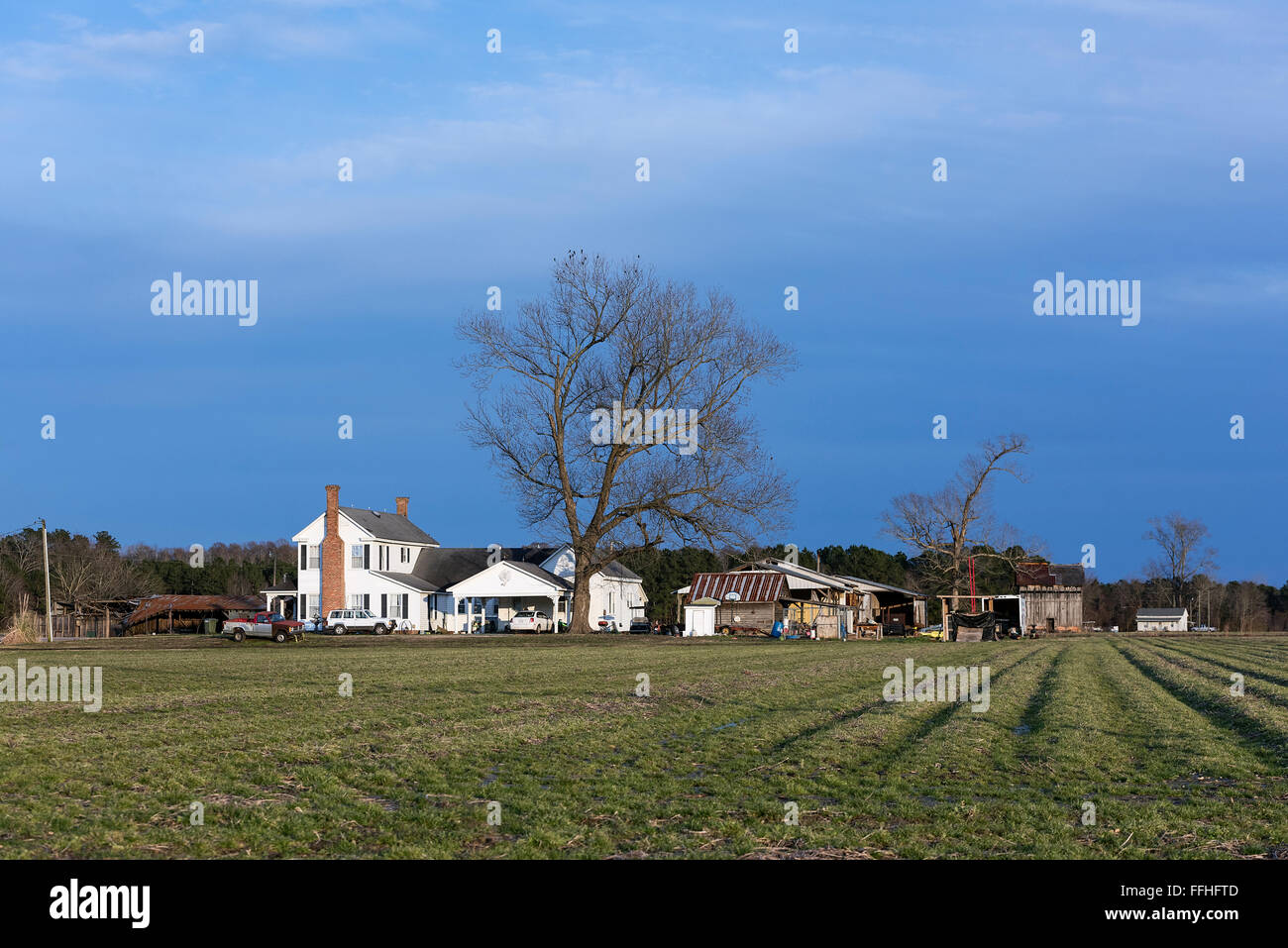 Farm house, Williamstown, North Carolina, USA Stockfoto