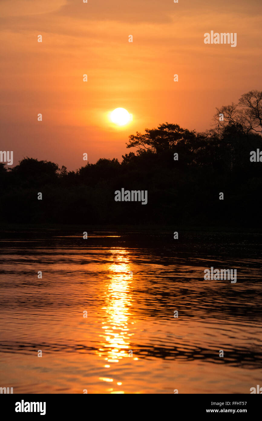 Goldener Sonnenuntergang mit der Sonne und die Reflexion über den Fluss Cuiaba, Pantanal, Mato Grosso, Brasilien Stockfoto