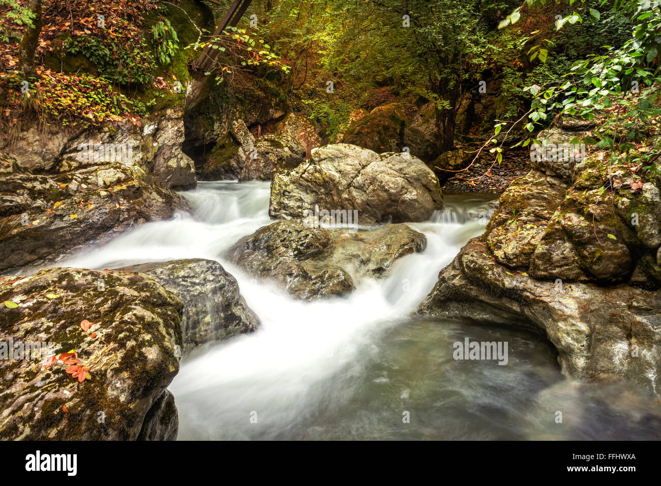 Landschaft Gebirgsfluss im Wald. Stockfoto