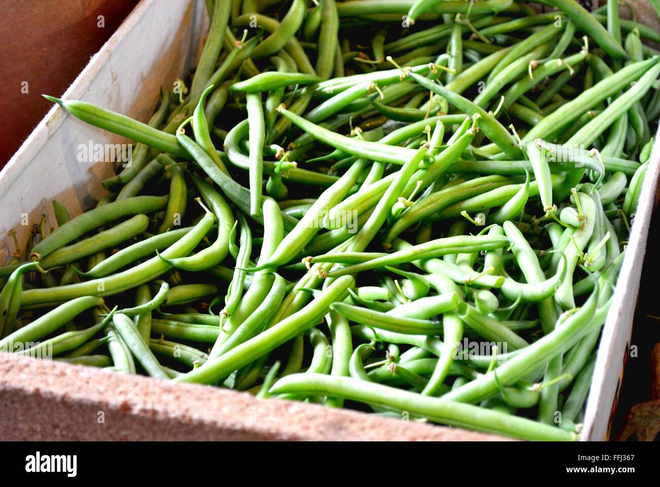 Geerntete frische grüne Bohnen auf dem Markt Stockfoto