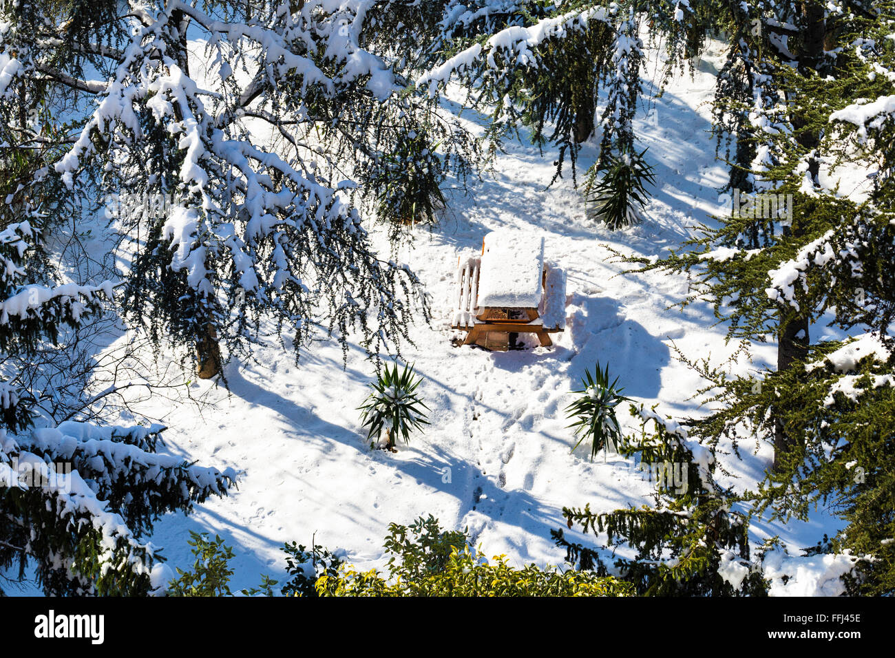 Erhöhte Ansicht von hölzernen Picknicktisch und Bäumen fallenden Schnee im Wald an einem Wintertag Stockfoto