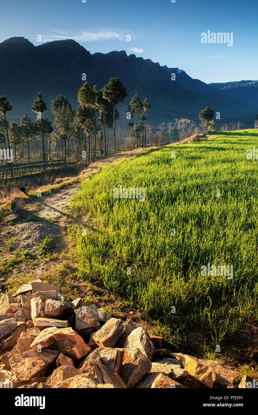 Wunderschöne Landschaft des Swat-Tal, KPK, Pakistan. Stockfoto