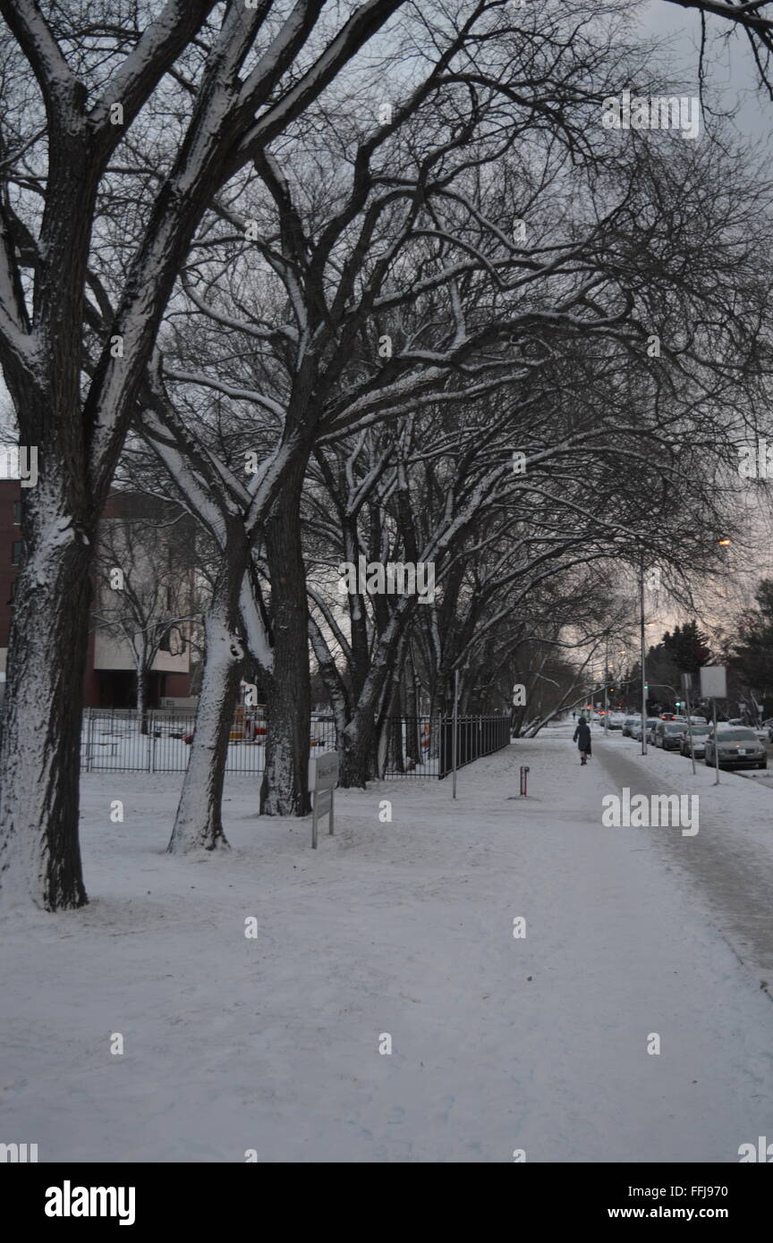 Winterabend Stockfoto