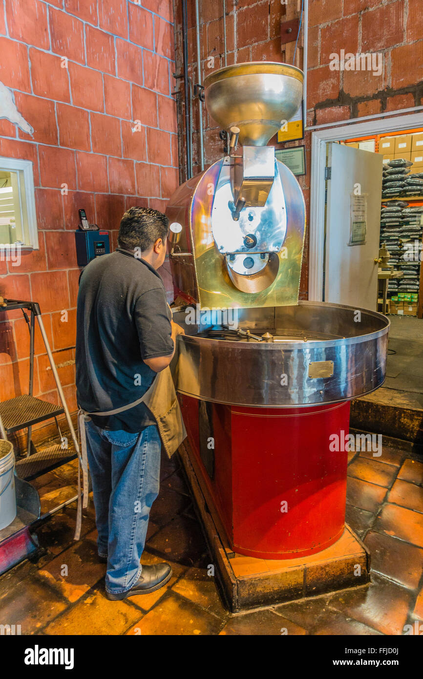 Ein Hispanic Mann arbeitet als Kaffeeröster steht durch seine Kaffeerösterei Maschine in einem Café in Santa Barbara, Kalifornien Stockfoto
