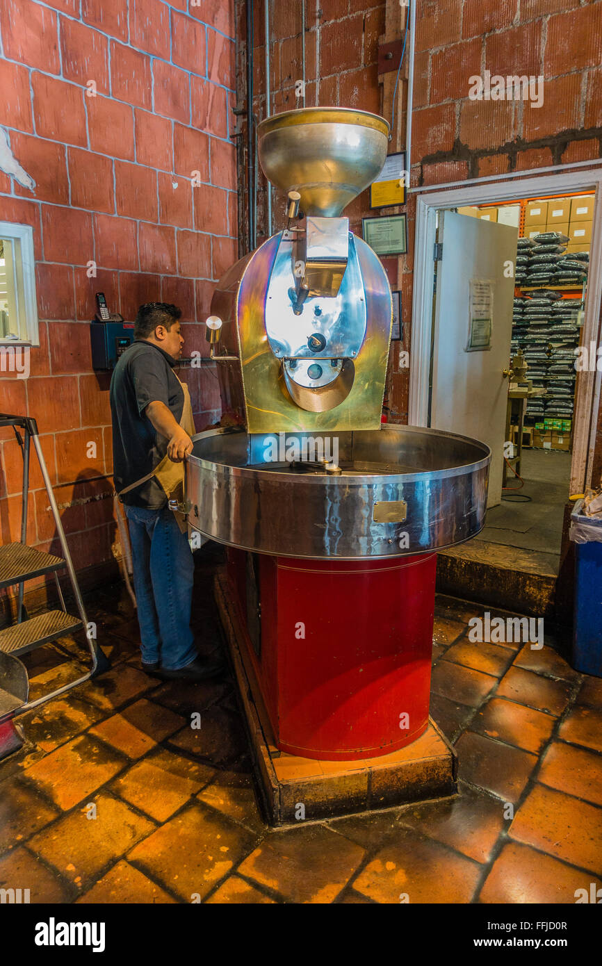 Ein Hispanic Mann arbeitet als Kaffeeröster steht durch seine Kaffeerösterei Maschine in einem Café in Santa Barbara, Kalifornien Stockfoto