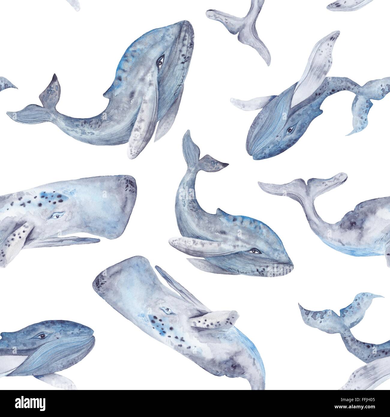 Nahtlose Textur mit grau und blau bemalte Meerestieren isoliert auf weißem Hintergrund Stockfoto