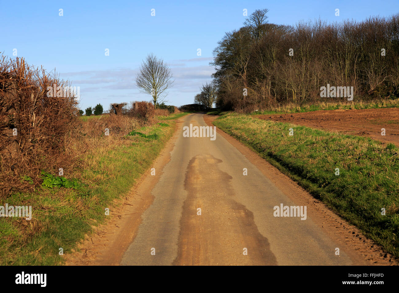 Lange, schmale gerade Asphalt land Straße im Winter Ramsholt, Suffolk, England, Großbritannien Stockfoto