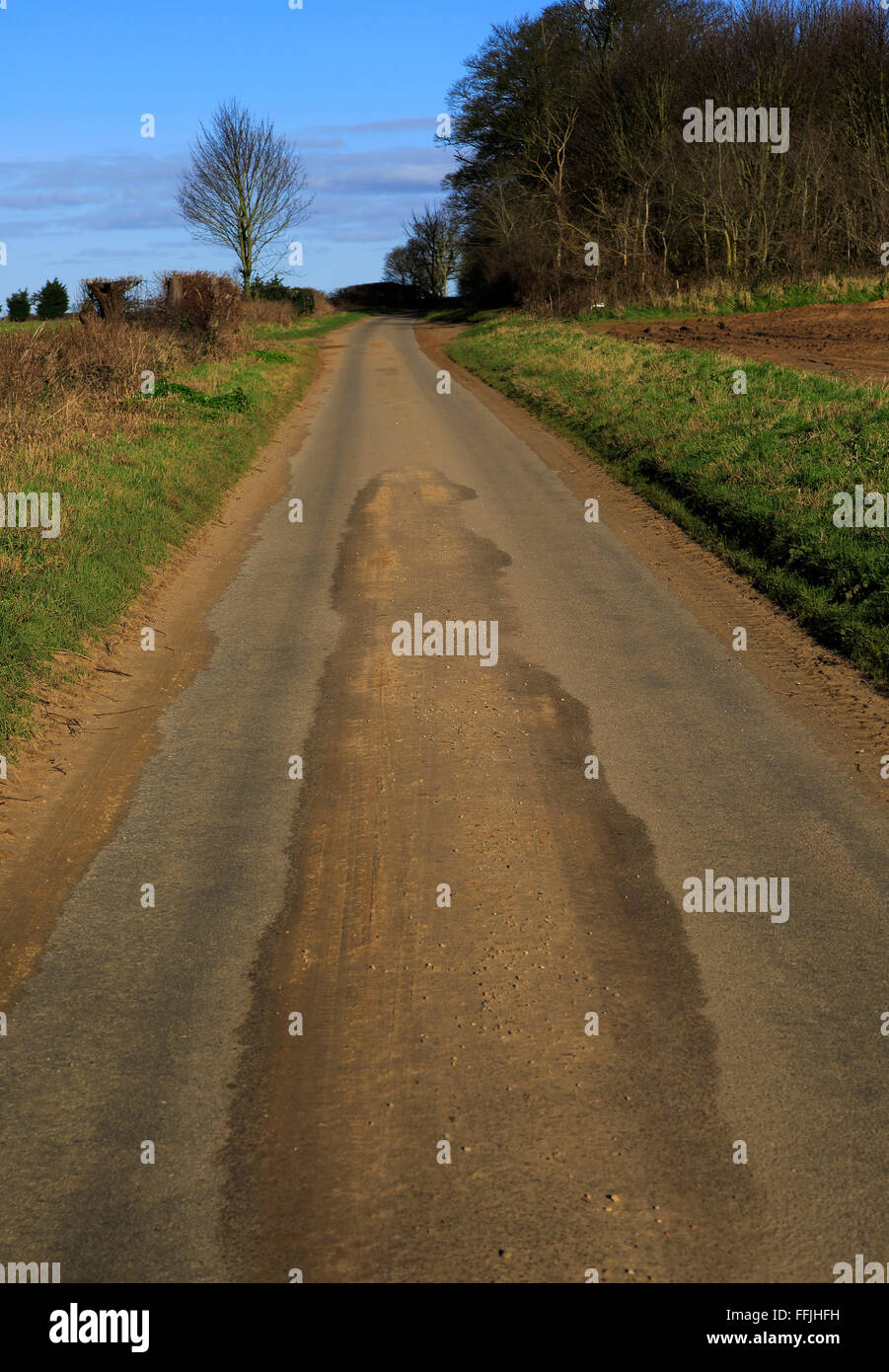 Lange, schmale gerade Asphalt land Straße im Winter Ramsholt, Suffolk, England, Großbritannien Stockfoto