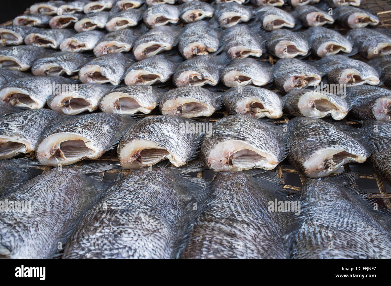 Getrocknete Fische der lokale Speisen im freien Markt Thailand Stockfoto